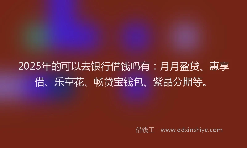 2025年的可以去银行借钱吗有：月月盈贷、惠享借、乐享花、畅贷宝钱包、紫晶分期等。