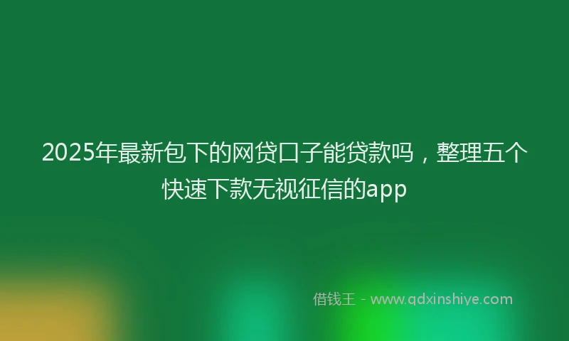 2025年最新包下的网贷口子能贷款吗，整理五个快速下款无视征信的app