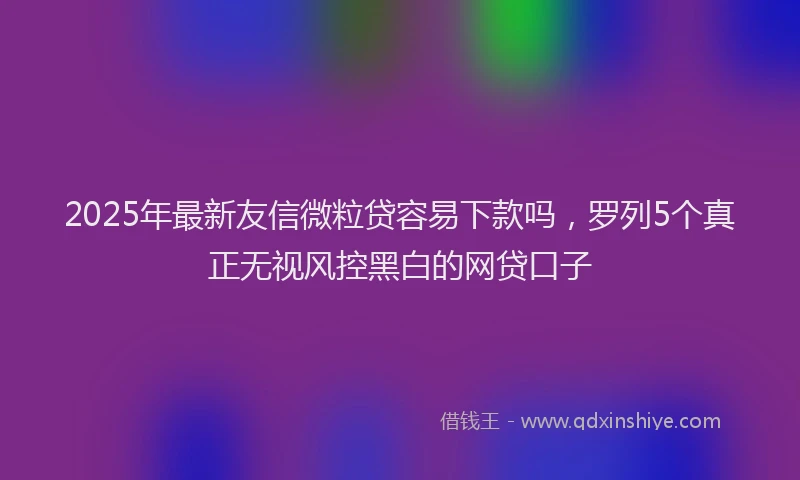 2025年最新友信微粒贷容易下款吗，罗列5个真正无视风控黑白的网贷口子