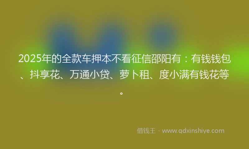 2025年的全款车押本不看征信邵阳有:有钱钱包、抖享花、万通小贷、萝卜租、度小满有钱花等。