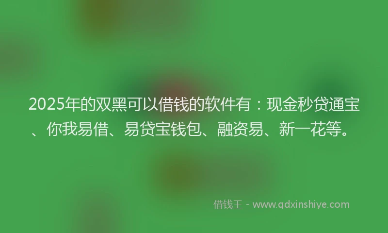 2025年的双黑可以借钱的软件有：现金秒贷通宝、你我易借、易贷宝钱包、融资易、新一花等。