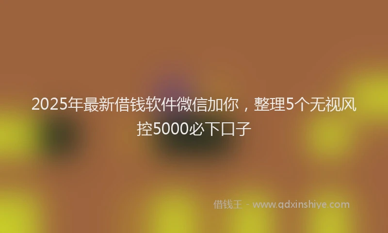 2025年最新借钱软件微信加你，整理5个无视风控5000必下口子