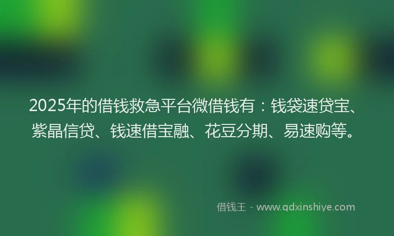 2025年的借钱救急平台微借钱有：钱袋速贷宝、紫晶信贷、钱速借宝融、花豆分期、易速购等。