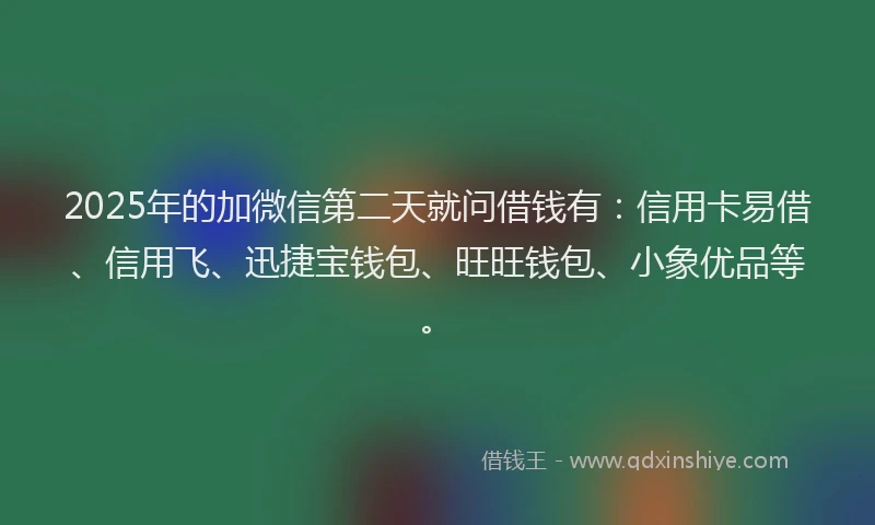 2025年的加微信第二天就问借钱有：信用卡易借、信用飞、迅捷宝钱包、旺旺钱包、小象优品等。