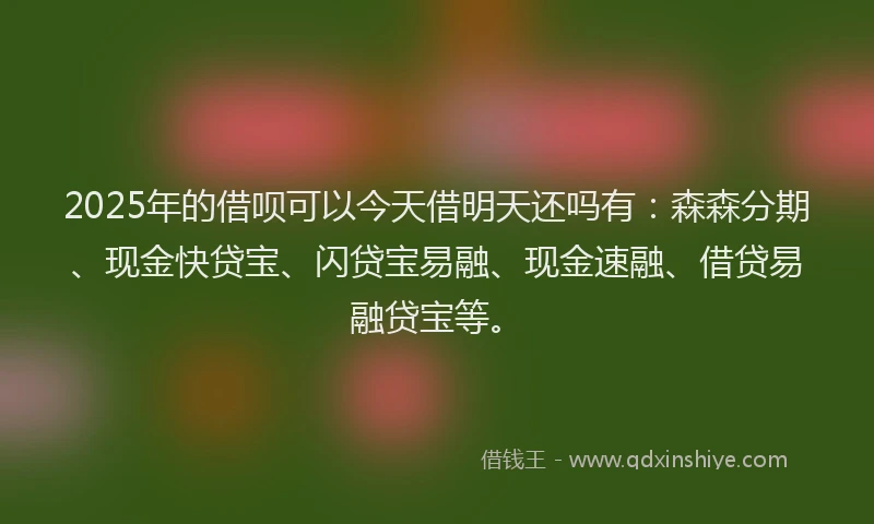 2025年的借呗可以今天借明天还吗有：森森分期、现金快贷宝、闪贷宝易融、现金速融、借贷易融贷宝等。