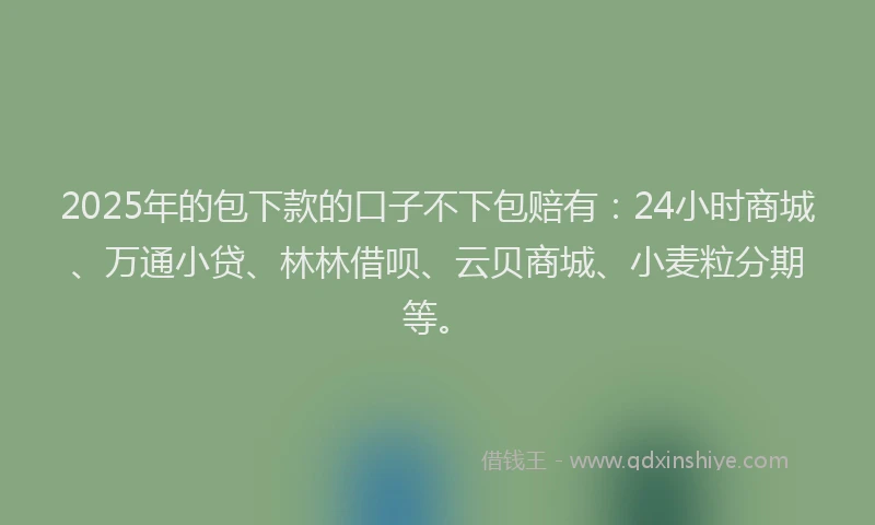 2025年的包下款的口子不下包赔有：24小时商城、万通小贷、林林借呗、云贝商城、小麦粒分期等。