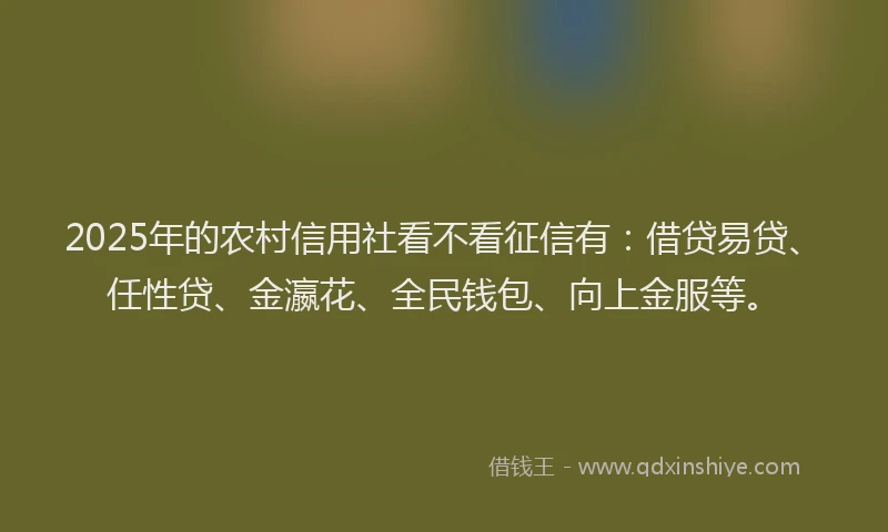 2025年的农村信用社看不看征信有：借贷易贷、任性贷、金瀛花、全民钱包、向上金服等。