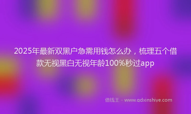 2025年最新双黑户急需用钱怎么办，梳理五个借款无视黑白无视年龄100%秒过app