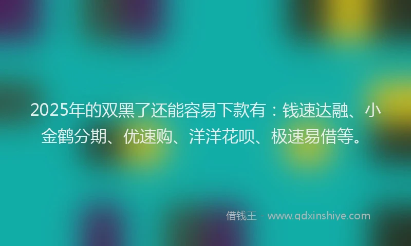 2025年的双黑了还能容易下款有：钱速达融、小金鹤分期、优速购、洋洋花呗、极速易借等。