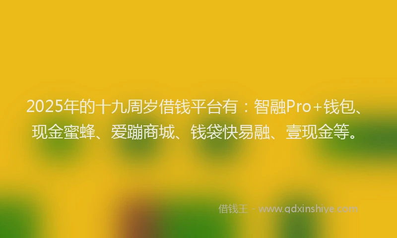 2025年的十九周岁借钱平台有：智融Pro+钱包、现金蜜蜂、爱蹦商城、钱袋快易融、壹现金等。