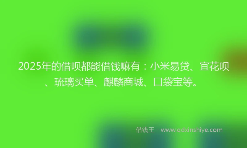 2025年的借呗都能借钱嘛有：小米易贷、宜花呗、琉璃买单、麒麟商城、口袋宝等。