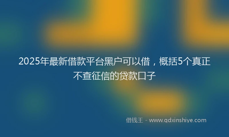 2025年最新借款平台黑户可以借，概括5个真正不查征信的贷款口子