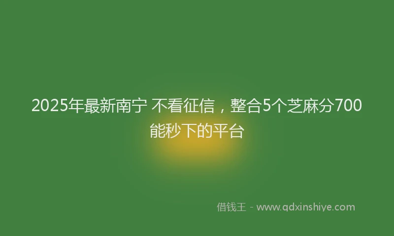 2025年最新南宁 不看征信，整合5个芝麻分700能秒下的平台