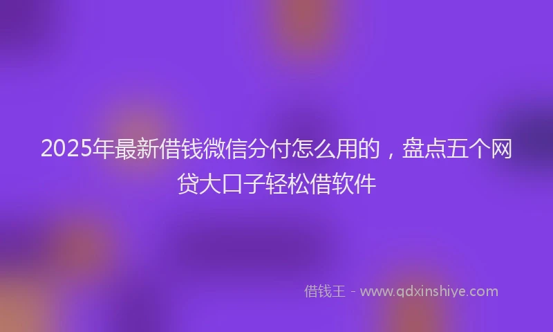 2025年最新借钱微信分付怎么用的，盘点五个网贷大口子轻松借软件