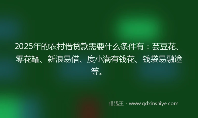 2025年的农村借贷款需要什么条件有：芸豆花、零花罐、新浪易借、度小满有钱花、钱袋易融途等。