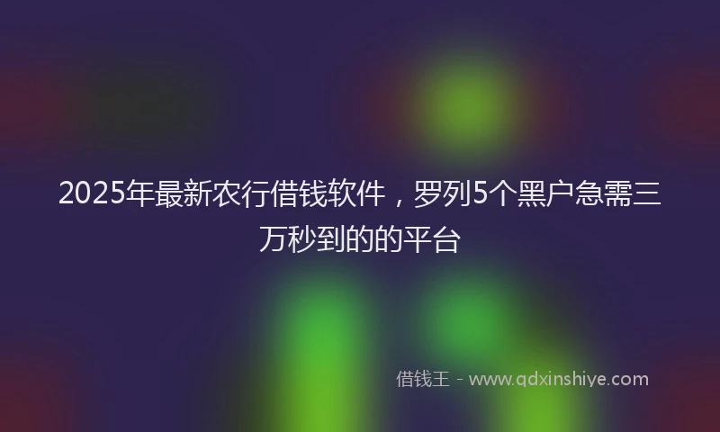 2025年最新农行借钱软件，罗列5个黑户急需三万秒到的的平台