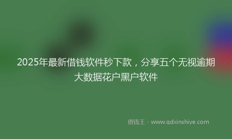2025年最新借钱软件秒下款，分享五个无视逾期大数据花户黑户软件