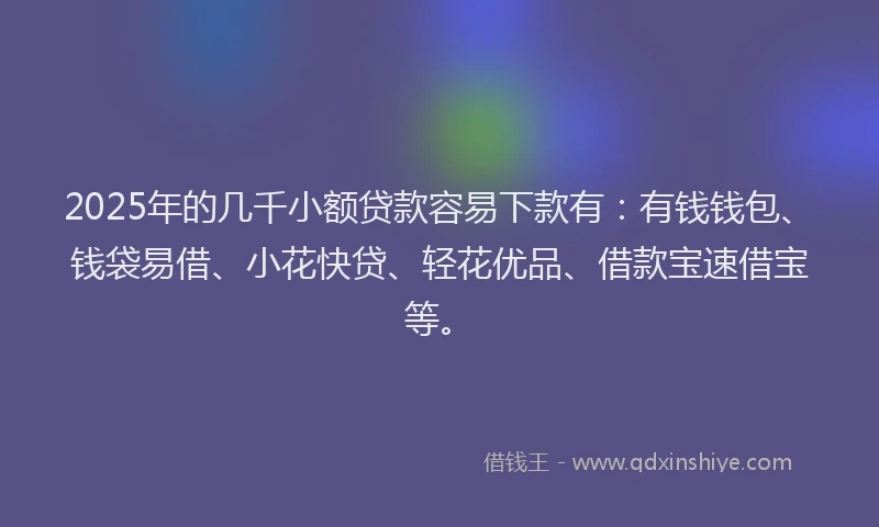 2025年的几千小额贷款容易下款有：有钱钱包、钱袋易借、小花快贷、轻花优品、借款宝速借宝等。