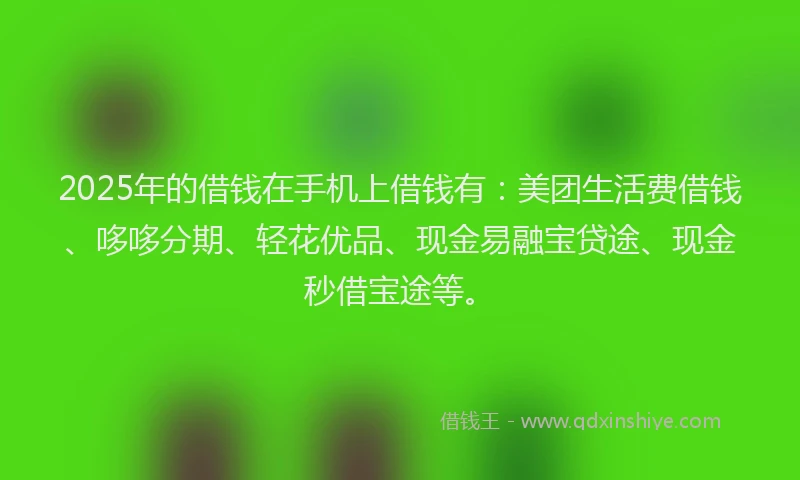 2025年的借钱在手机上借钱有：美团生活费借钱、哆哆分期、轻花优品、现金易融宝贷途、现金秒借宝途等。