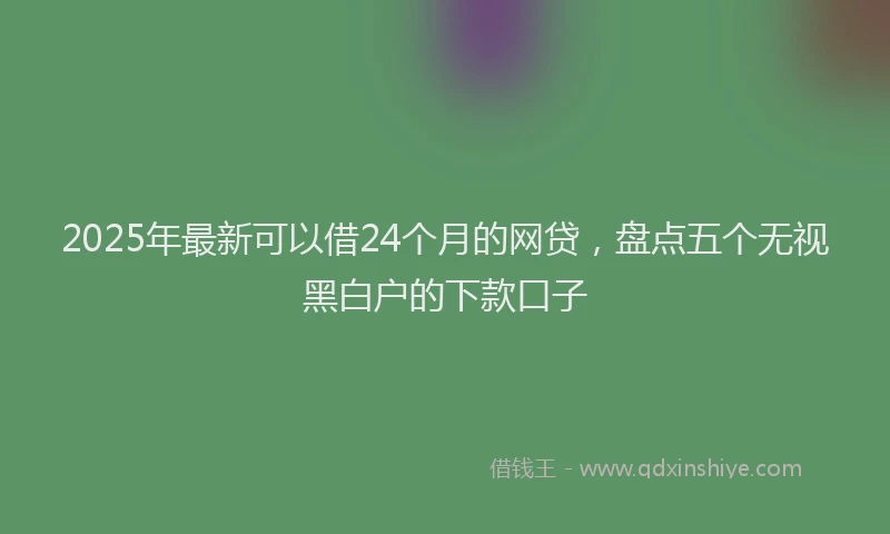 2025年最新可以借24个月的网贷，盘点五个无视黑白户的下款口子