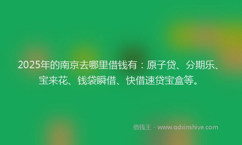 2025年的南京去哪里借钱有：原子贷、分期乐、宝来花、钱袋瞬借、快借速贷宝盒等。