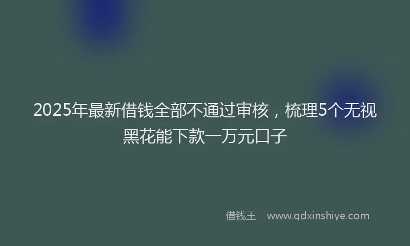 2025年最新借钱全部不通过审核，梳理5个无视黑花能下款一万元口子
