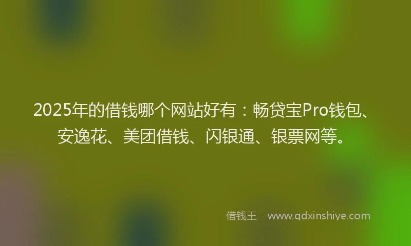 2025年的借钱哪个网站好有：畅贷宝Pro钱包、安逸花、美团借钱、闪银通、银票网等。