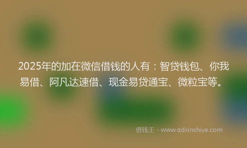 2025年的加在微信借钱的人有：智贷钱包、你我易借、阿凡达速借、现金易贷通宝、微粒宝等。