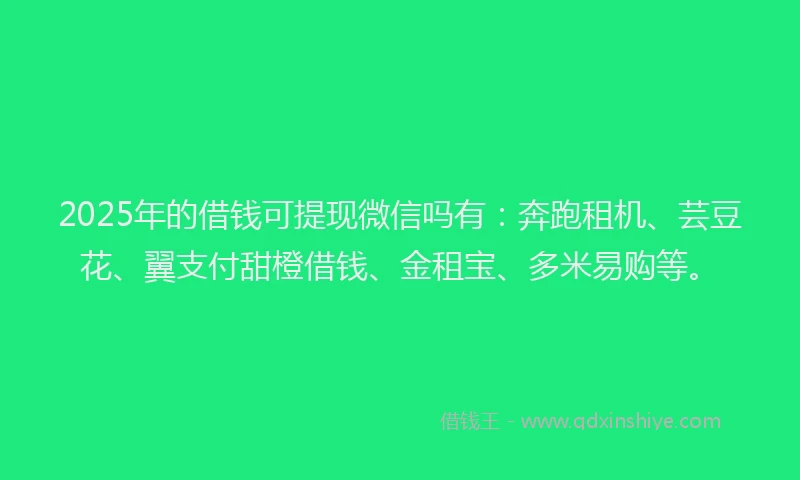 2025年的借钱可提现微信吗有：奔跑租机、芸豆花、翼支付甜橙借钱、金租宝、多米易购等。