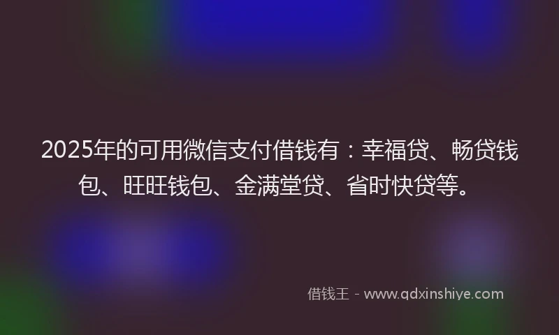 2025年的可用微信支付借钱有：幸福贷、畅贷钱包、旺旺钱包、金满堂贷、省时快贷等。