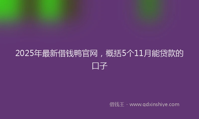 2025年最新借钱鸭官网，概括5个11月能贷款的口子