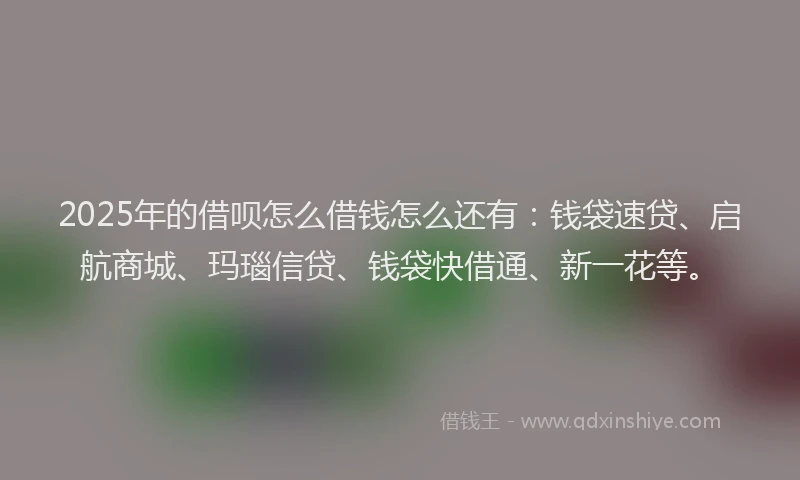 2025年的借呗怎么借钱怎么还有：钱袋速贷、启航商城、玛瑙信贷、钱袋快借通、新一花等。
