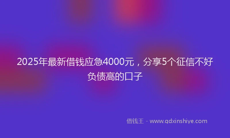 2025年最新借钱应急4000元，分享5个征信不好负债高的口子
