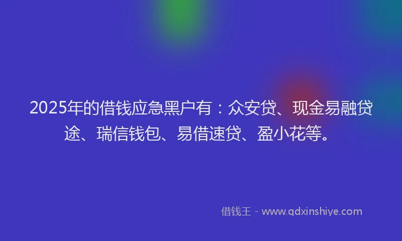 2025年的借钱应急黑户有：众安贷、现金易融贷途、瑞信钱包、易借速贷、盈小花等。