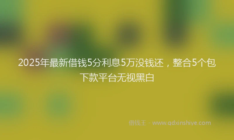 2025年最新借钱5分利息5万没钱还，整合5个包下款平台无视黑白