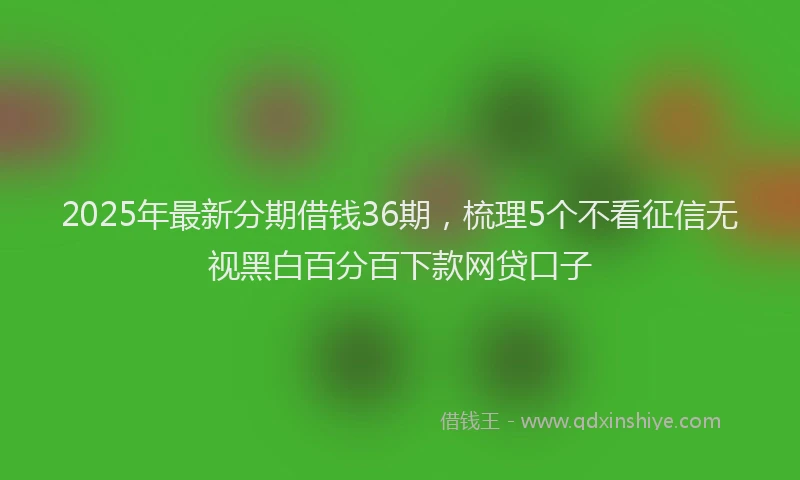 2025年最新分期借钱36期，梳理5个不看征信无视黑白百分百下款网贷口子