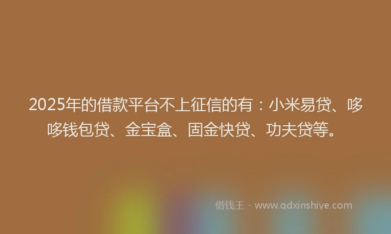 2025年的借款平台不上征信的有：小米易贷、哆哆钱包贷、金宝盒、固金快贷、功夫贷等。