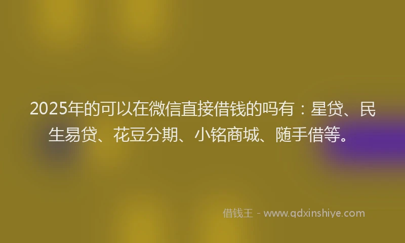 2025年的可以在微信直接借钱的吗有：星贷、民生易贷、花豆分期、小铭商城、随手借等。