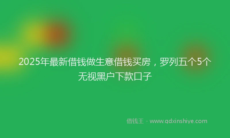2025年最新借钱做生意借钱买房，罗列五个5个无视黑户下款口子