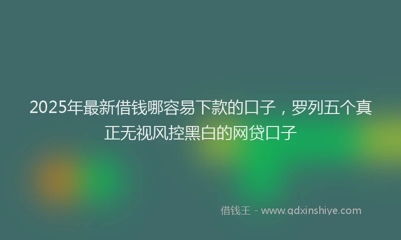2025年最新借钱哪容易下款的口子，罗列五个真正无视风控黑白的网贷口子