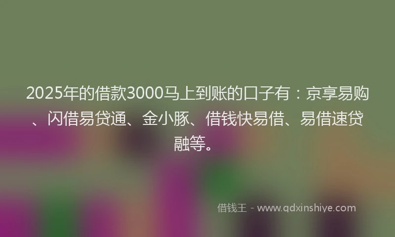 2025年的借款3000马上到账的口子有：京享易购、闪借易贷通、金小豚、借钱快易借、易借速贷融等。