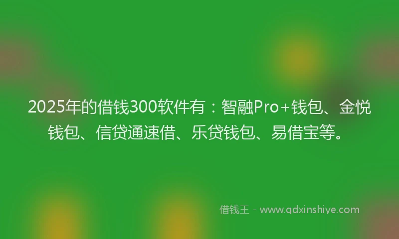 2025年的借钱300软件有：智融Pro+钱包、金悦钱包、信贷通速借、乐贷钱包、易借宝等。