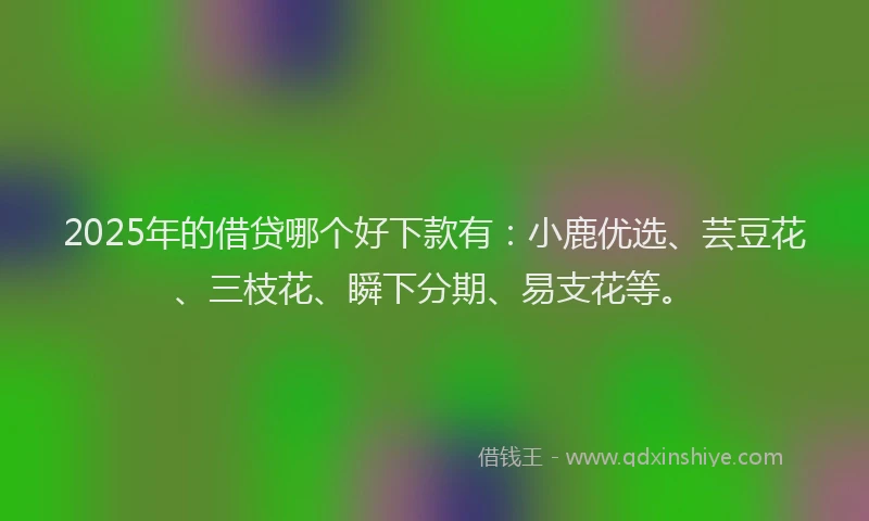 2025年的借贷哪个好下款有：小鹿优选、芸豆花、三枝花、瞬下分期、易支花等。
