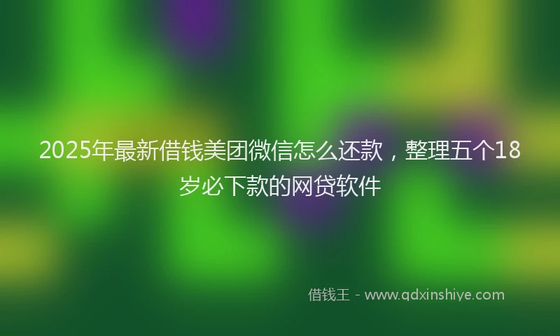 2025年最新借钱美团微信怎么还款，整理五个18岁必下款的网贷软件