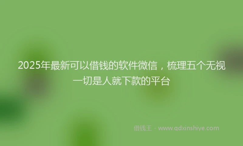 2025年最新可以借钱的软件微信，梳理五个无视一切是人就下款的平台