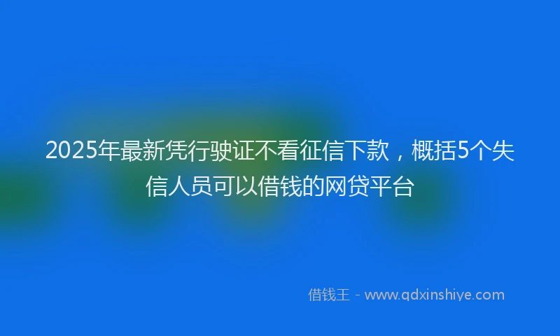 2025年最新凭行驶证不看征信下款，概括5个失信人员可以借钱的网贷平台
