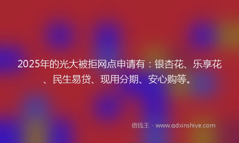 2025年的光大被拒网点申请有：银杏花、乐享花、民生易贷、现用分期、安心购等。