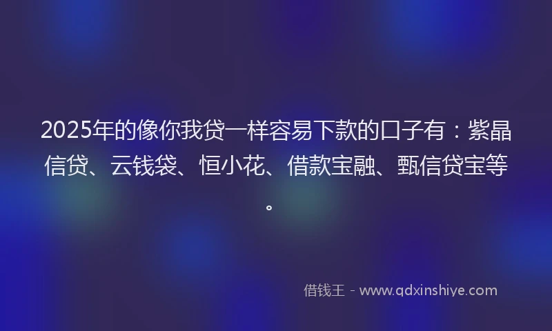 2025年的像你我贷一样容易下款的口子有：紫晶信贷、云钱袋、恒小花、借款宝融、甄信贷宝等。