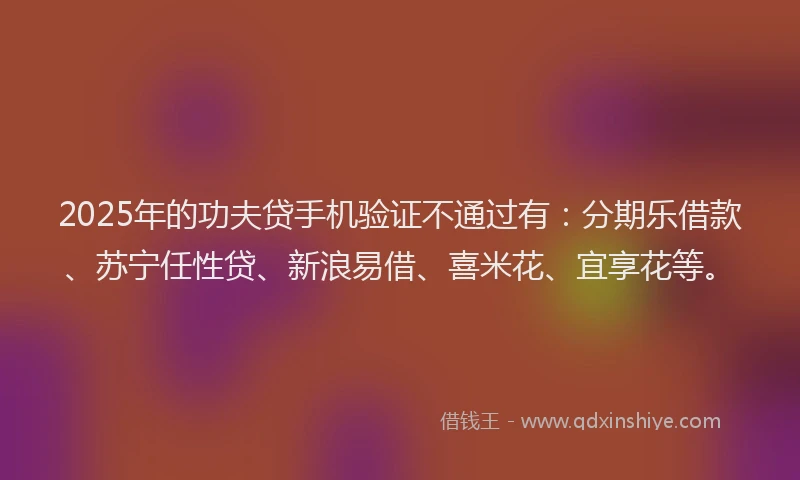 2025年的功夫贷手机验证不通过有：分期乐借款、苏宁任性贷、新浪易借、喜米花、宜享花等。
