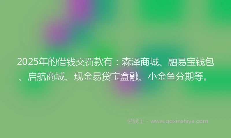 2025年的借钱交罚款有：森泽商城、融易宝钱包、启航商城、现金易贷宝盒融、小金鱼分期等。